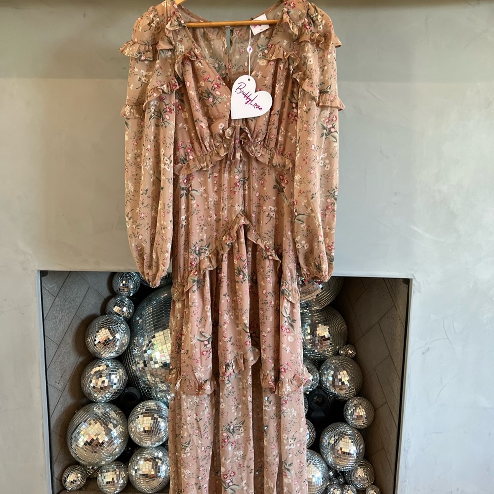 NWT Buddy Love Pia Long Sleeve Maxi Dress - Picture 9 of 13